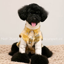 UNPET Treasure Pets Small Dogs Clothes Day denim Plaid Elegant Mills the waistcoat waistcoat Waistcoat Shirt Vest