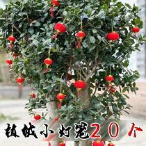Flocking small lantern hanging tree New Year red outdoor Indoor bonsai wedding festive decoration scene layout