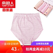 Antarctic mens senior womens underwear cotton loose high waist womens briefs large size fat 4 packs