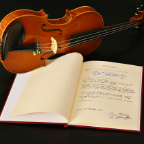 Zoyan imported European material Italian spruce melon-style professional-grade master independent playing handmade violin send piano box