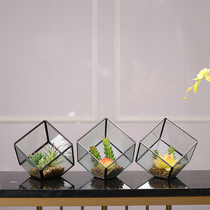 Nordic glass cover flower room micro landscape succulent plant Everlasting Flower Girl room dormitory ornaments gifts