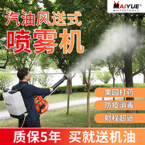 Gasoline sprayer agricultural high-pressure sprayer disinfection knapsack fruit tree spray pesticide artifact mist machine