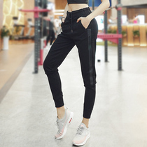 Loose skinny sports trousers stretch fitness pants womens small feet pants Sports Leisure running quick-dry closing nine points