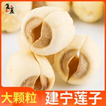 New goods Fujian Jianning lotus seeds premium natural farm hand-peeled and cored heartless white lotus seeds dry goods 500g
