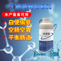 Weikang enzyme and aquaculture drug Clostridium butyricum Penaeus chickens and ducks balance intestinal Lactobacillus Plantarum