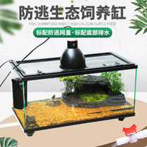 Turtle cylinder with sundeck water free turtle villa glass turtle cylinder with lid bottom drainage turtle cylinder