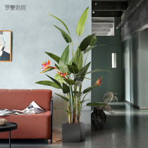 Roman mother simulation plant potted bird of paradise Indoor large green plant Nordic ins wind auspicious bird fake bonsai