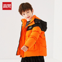 Gavan children Boy down jacket 2021 new foreign style big childrens overalls short winter thick childrens clothing coat tide