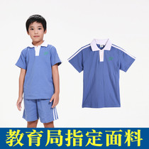 Shenzhen elementary school uniforms manufacturer guarantees elementary school boys spring summer sports clothes with short sleeves T-shirts