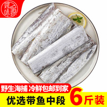 Octopus 6 pounds of knifefish sea fish fresh octopus fresh frozen aquatic products East China Sea to go to the head to the tail with fish section