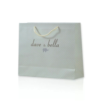 David Bella exquisite gift bag gift bag not negotiated price (gift bag alone can not be photographed)