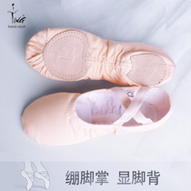 Chen Ting Dance Shoes Women Adults Softsole Shoes Full Play Power Fabric Body Yoga Practice Shoes Two Bottoms Cat Paws Ballet Shoes