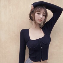 Vchy Square Collar Knitted base shirt Womens 2021 Autumn Short Sleeved Long Sleeve Interior Slim Western Tat Shirt Top