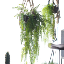 Hanging simulation flowers green leaves fern leaves grass wall-mounted plants green leaves garden courtyard decoration plant wall flower arrangement landscaping