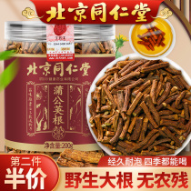 Beijing Tongrentang Dandelion Root Tea Special Class Wild Mother-In-Law Tingen Tea Fried Dandelion Tea Leaf Flagship Store