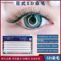 Yan Zhenfang 5 Hair self-grafted eyelashes 0 05 coarse C ciliary ciliary super soft planting single cluster dense natural simulation