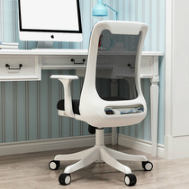 Office computer chair home chair ergonomic children learning to write students e-sports backrest desk lifting swivel chair