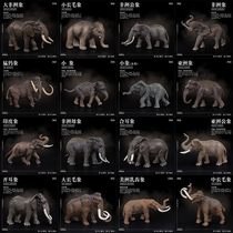 Simulation toy simulation elephant model mammoth animal toy mammoth African elephant Asian Elephant Ornaments