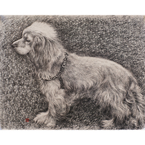 Wang Yongchaos Lovely Kakka paper new pen drawing