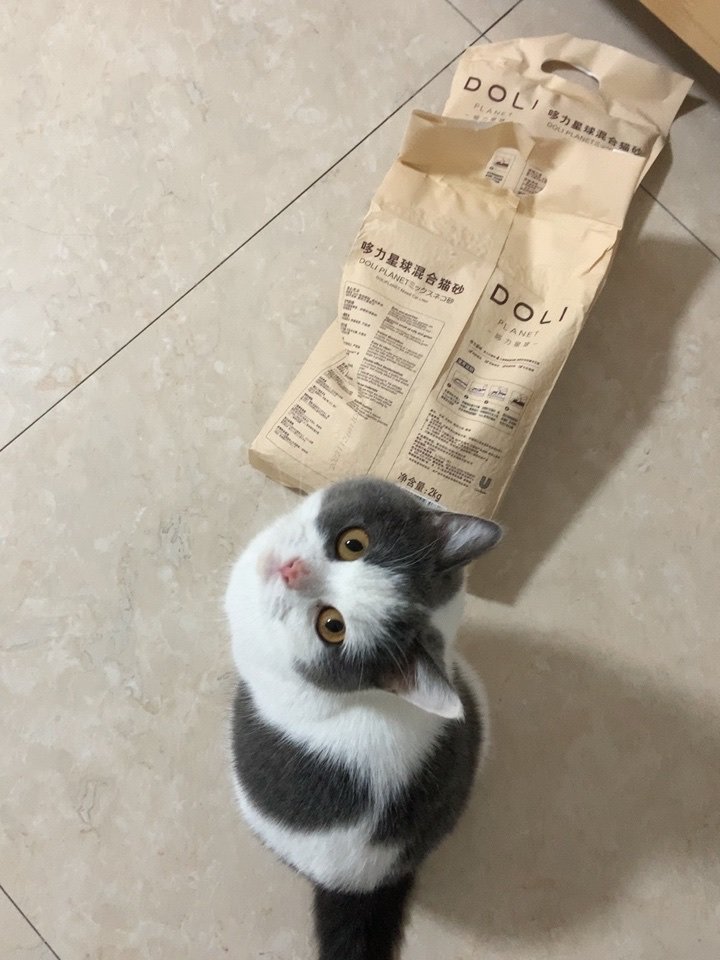 综合吐槽姿美堂酵素的副与危害性猫砂优缺点如何?看一看?少上当