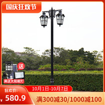 Outdoor lights waterproof new rural home 220V community garden villa high pole double head courtyard 3 meters antique street lights