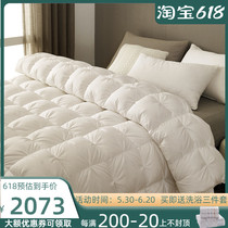 ESSONIO Winter down quilted by 95 white goose down thickened warm by coveted duck suede winter by five-star double quilt
