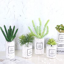 Nordic in simulation plant fake flower multi-pot pot furnished green pot view living room interior decoration small flower