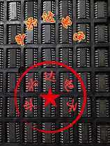 SOP16 tray SOP14 tray SOP14 16 narrow-body tray SOP16 6 × 10 SOP14 6 x 8 8