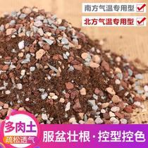 Succulents nutrient soil Small seedlings Meat leaf planting soil Master old pile multi-meat special granular soil