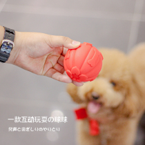 Small Puppy Toys Ball teddy Bears Bear Dogfight Resistant to Tooth Sounding Rubber Balls Golden Hair Large Canine puppies Supplies