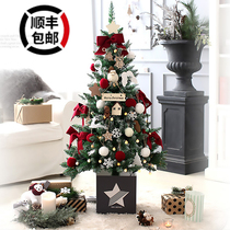 Net red Christmas Tree Household Nordic small 15m Christmas Tree ornaments ins Christmas Tree decoration package
