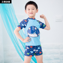 Sanqi childrens split swimsuit Korean boy swimming trunks swimsuit suit cute cartoon middle child hot spring swimsuit