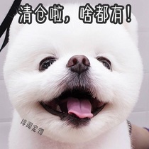 Clearance product link summary of 19 ~ regardless of cost all lost toys and supplies etc ~