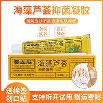 Yellow skin cream seaweed Aloe Aloe gel Jiangxi Hailian biological antibacterial gel skin antipruritic herbal ointment