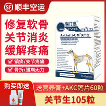 Medical high joint dog Big Dog gold version repair chondroitin tablets arthritis bone rheumatism 105 tablets