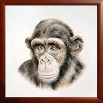 (Send solid wood mounting) Wang Yuweichun hand-painted watercolor painting Orangutan living room bedroom collection painting