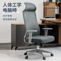Computer chair home comfortable sedentary office chair can lie e-sports game seat back chair ergonomic swivel chair