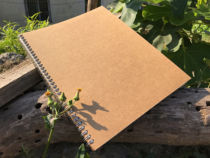 Japan-ROK 5mm Grid Benn a4 Road Linebox This coordinates Beni Design This Hand Ledger Notebook stationery