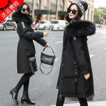 Cotton Jersey Woman Thickened in Korean version Loose Cashew padded jacket Padded Jacket overcomes Winters down cotton jacket Jacket Tide