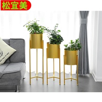 ins Nordic floor-to-ceiling indoor wrought iron flower rack creative living room green dill flower pot rack office flower pot rack