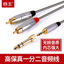 Soundking B22 3 5 turn double Lotus audio cable 6 5 turn 2rca three-core one-point two-wire