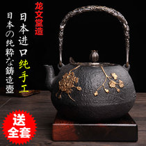 Japanese master Japanese iron pot Japan imported southern iron pot non-coated pure hand cast iron teapot