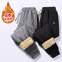 Winter lambish padded cotton pants middle-aged and elderly dad sports trousers middle-aged men plus velvet warm stretch pants