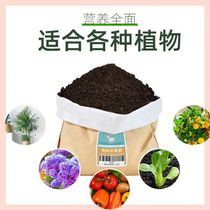 Fermented green basket eggs chicken manure organic fertilizer chicken big bag granular nutrient soil fertilizer sheep manure maturation room  