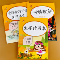 All 3 copies of the second grade of the second volume of the new characters the copy of the book the second grade of the book (set)