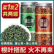 Dandelion Root Tea Wild Special Class Dry Goods Flagship Store Womens Breast Herbal Medicine Loose Knot Tea Tea Bag