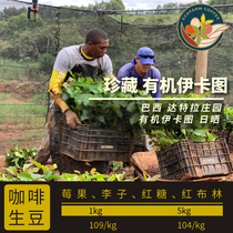 Brazil Datra Manor Collection Sun-dried Ecofang Green Beans 2021