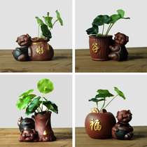 Zisha tea pet ornaments boutique can raise piggy flowers small vase pen holder hydroponic home hipster flower raising Ware