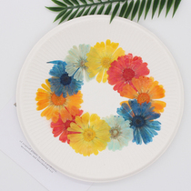 Calendula dried flower embossed embossed flower real flower specimen handmade epoxy mobile phone shell aromatherapy candle bookmark photo frame material