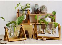 Regio classroom ring creation natural elements teaching aids materials Green plant vase observation rhizome water level knock